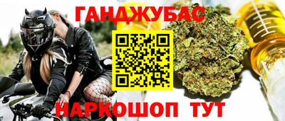 эйфоретик Славгород