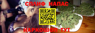 эйфоретик Славгород